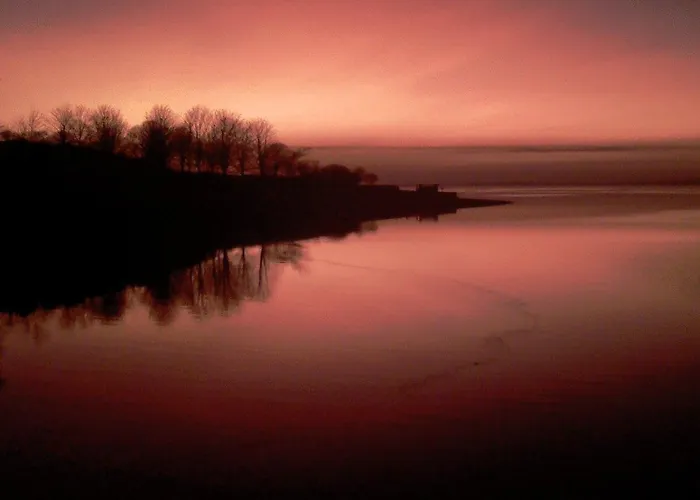 Dog Friendly Hotels Caernarfon: Where to Stay with Your Furry Friend